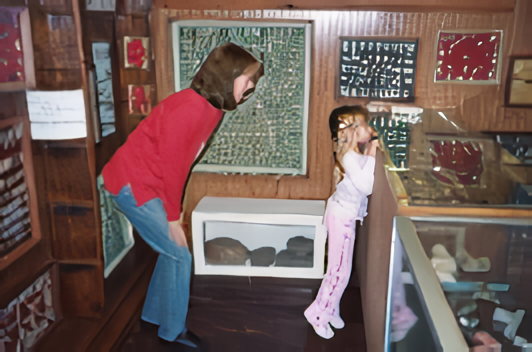 A woman and child looking at objects in a museum.